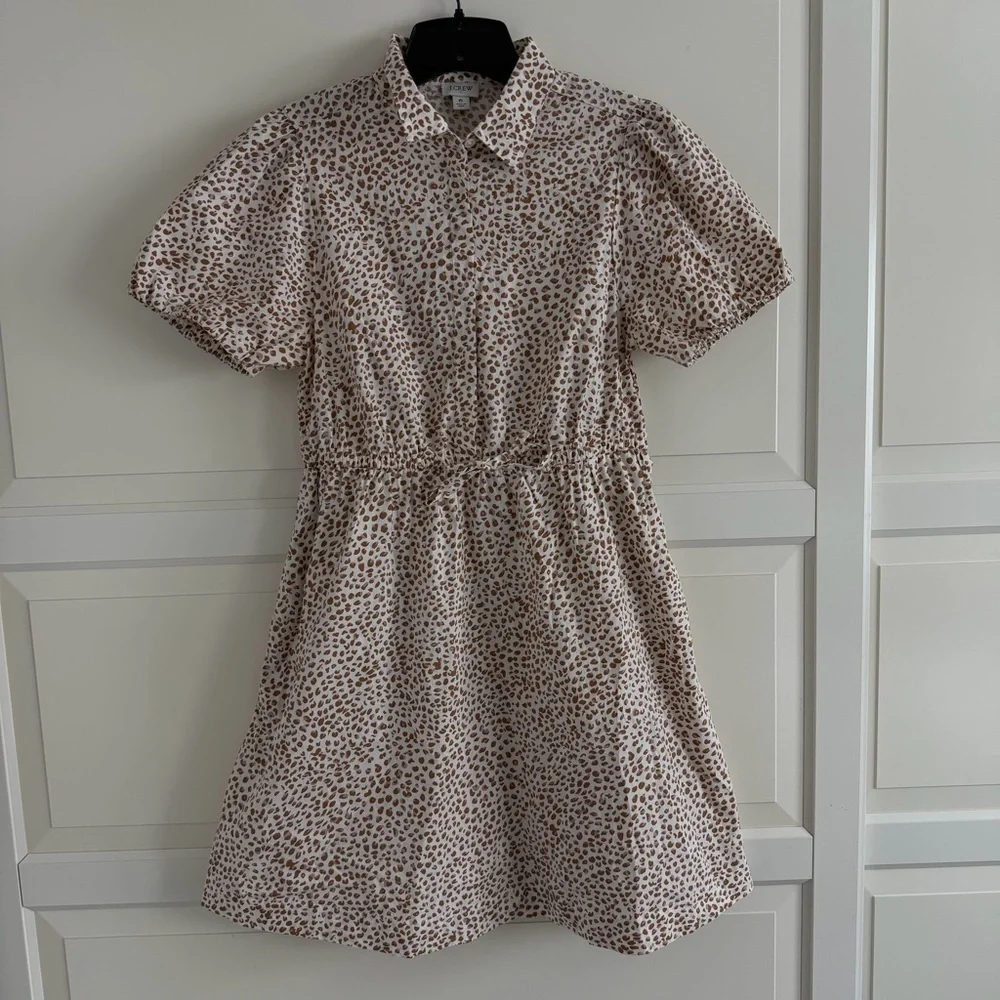J. Crew Brown leopard animal Short Sleeve Collared Mini Dress 6 41858